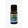 Eucalipto Bio -Aceite esencial 10ml - Naturaleza premium