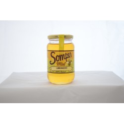 Miel de Limonero - Somper - 450 gramos