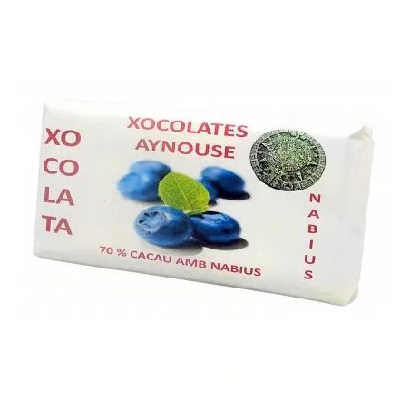 Chocolate Aynouse 70% con arándanos 125 gramos