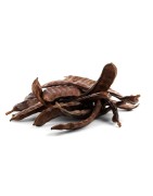 Algarroba Chocolate