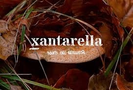 Xantarella